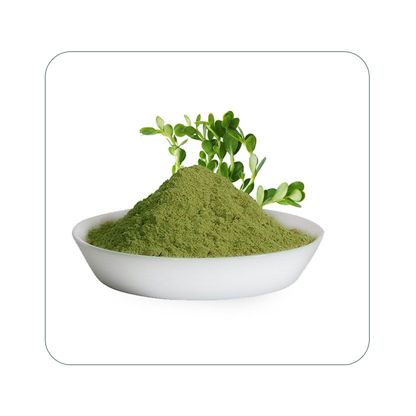 OrganicBacopa Monnieri Powder