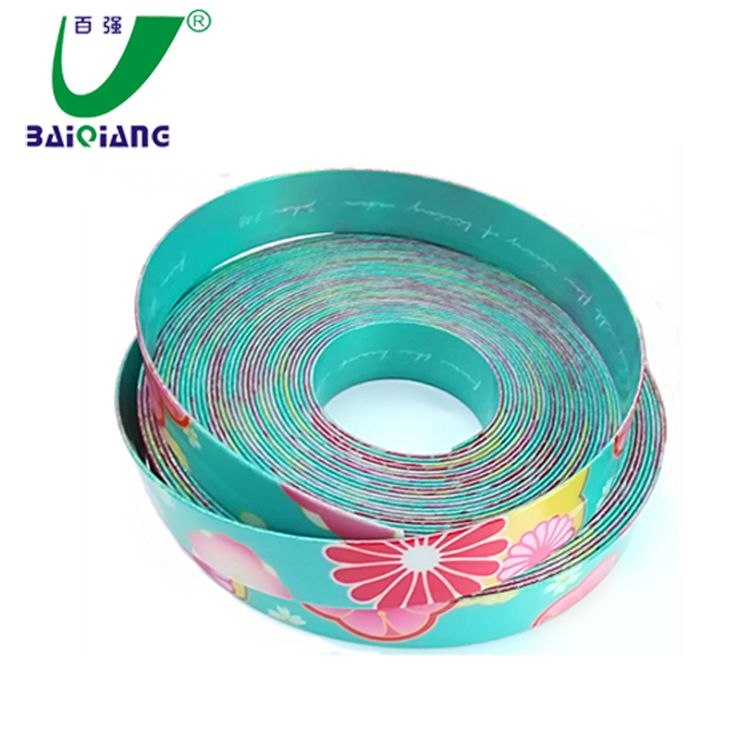 PVC and TPU Plastic Coated Webbing for dog collar