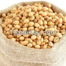 SOYABEANS (Glycine Max)