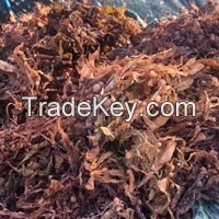 dried sargassum / brown seaweed high quality