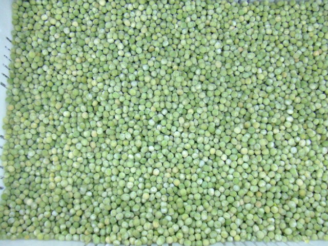 gree peas