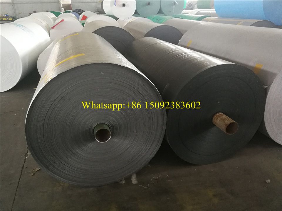 PE Tarpaulin to Bangladesh blue and orange tarpaulin roll