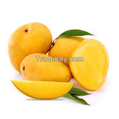 Fresh Alphonso Mangoes Best Price for sale