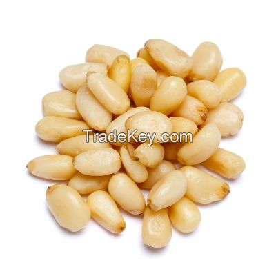 Pine Nuts for sale