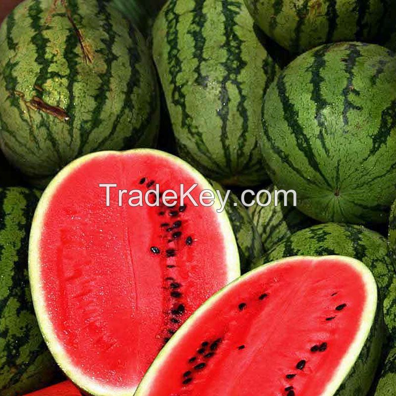 Wholesale Fresh Watermelon / Fresh Watermelon For Sale