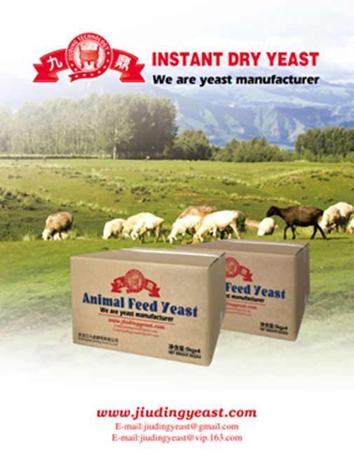 Factory provided Animal feed additives of active feed yeast