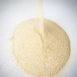 Factory provided Animal feed additives of active feed yeast