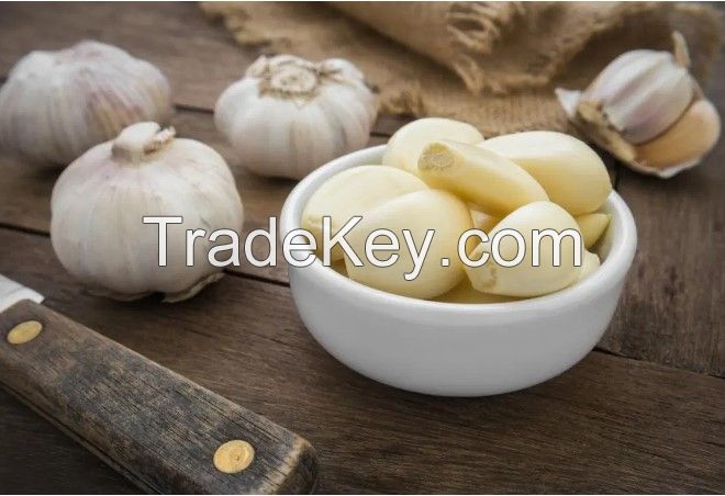 Fresh Garlic