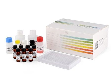 ROC-F-AR019K  Tylosin ELISA Test Kit