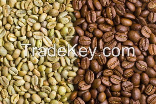 Best Quality Robusta Coffee