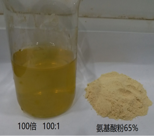 Agriculture Organic Fertilizer Free Amino Acid 80%