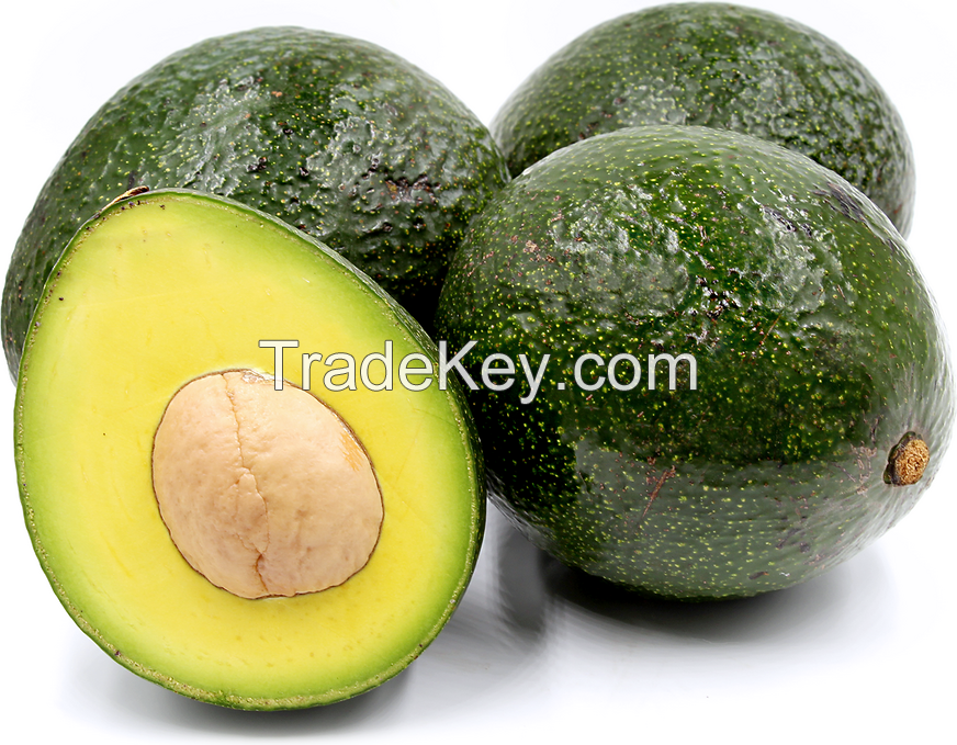 Fresh Avocado Fruit 034/ Booth/ Hass/ Wax