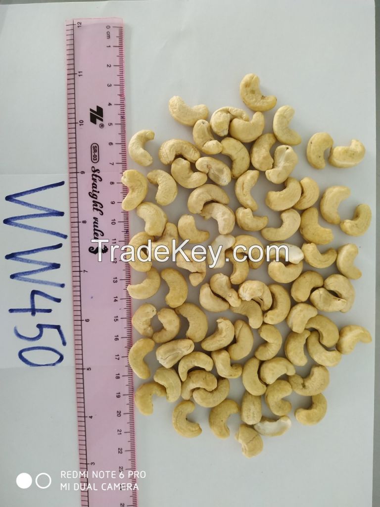 Cashew Nuts Vietnam W240 W320 W450