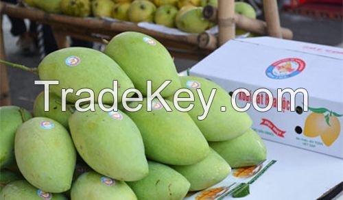 Fresh Mangos From Vietnam