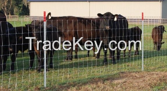 Field Fence