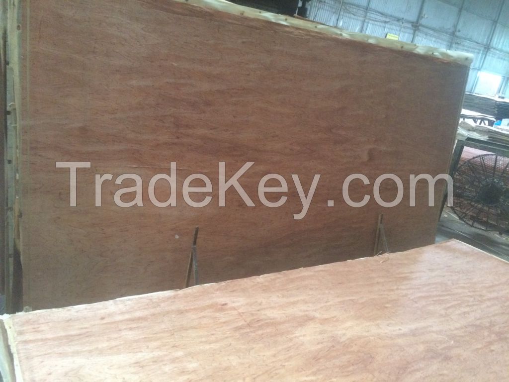 Plywood for packing industry