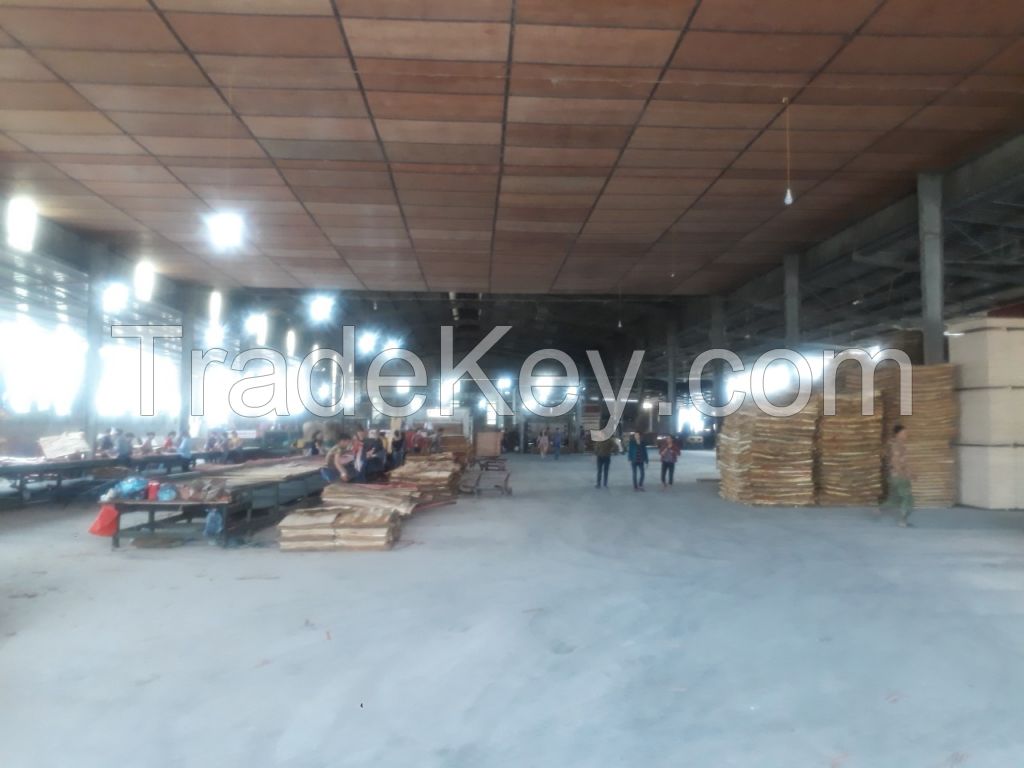 Shuttering plywood for construction from Vietnam