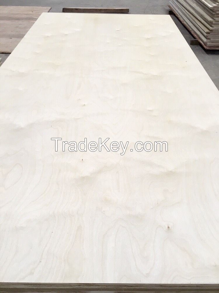 White birch plywood