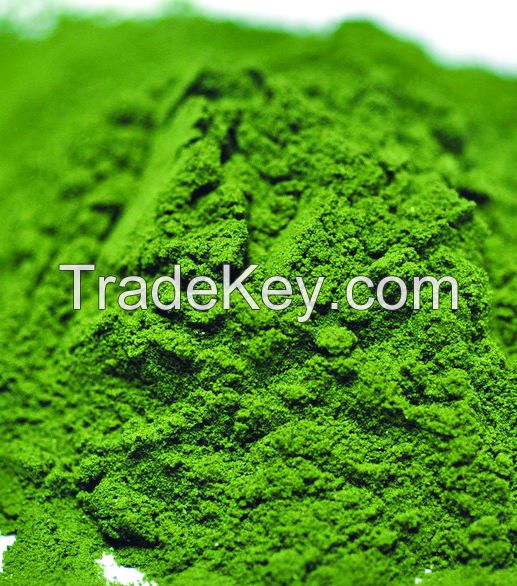 Organic Broccoli Powder 