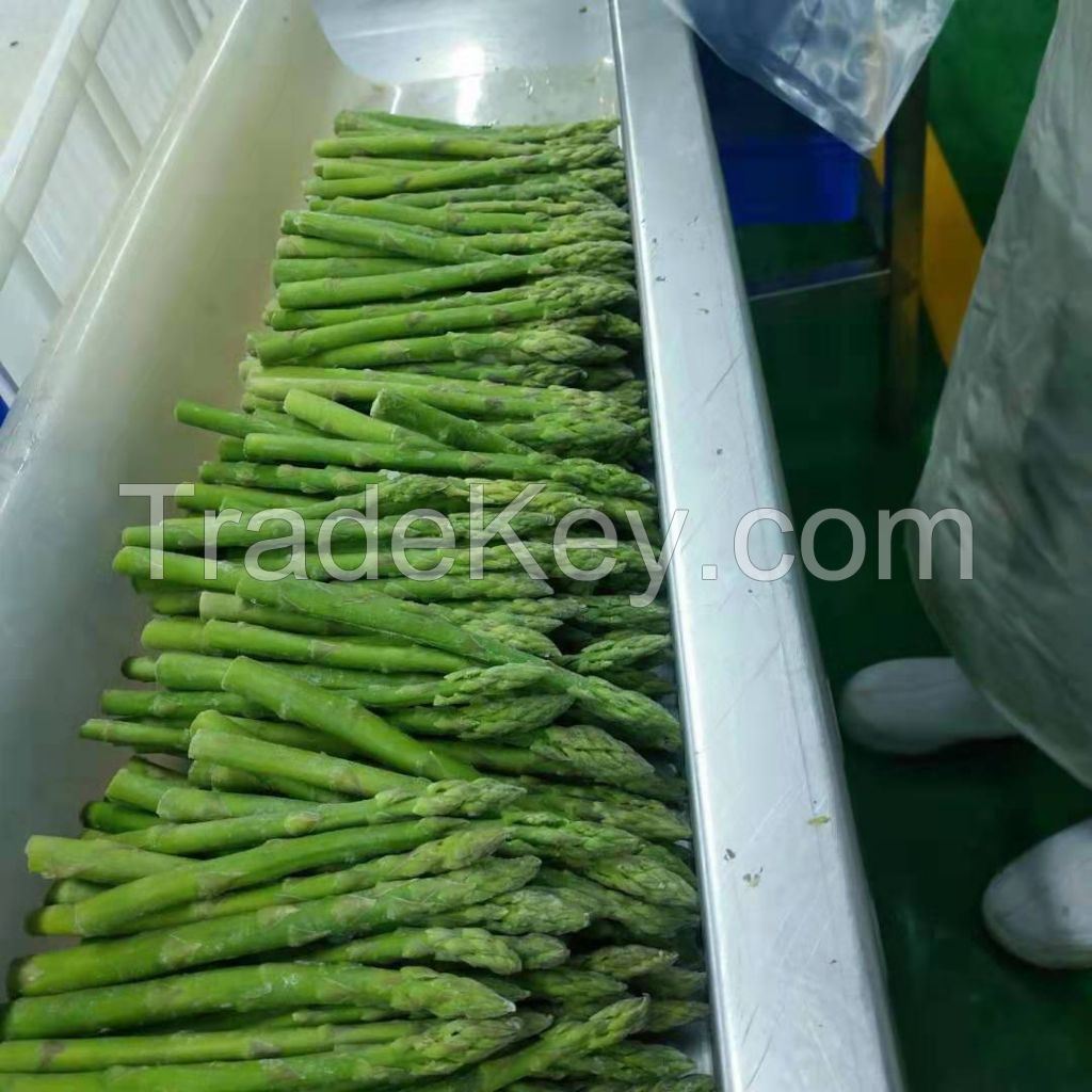 IQF/FROZEN GREEN ASPARAGUS