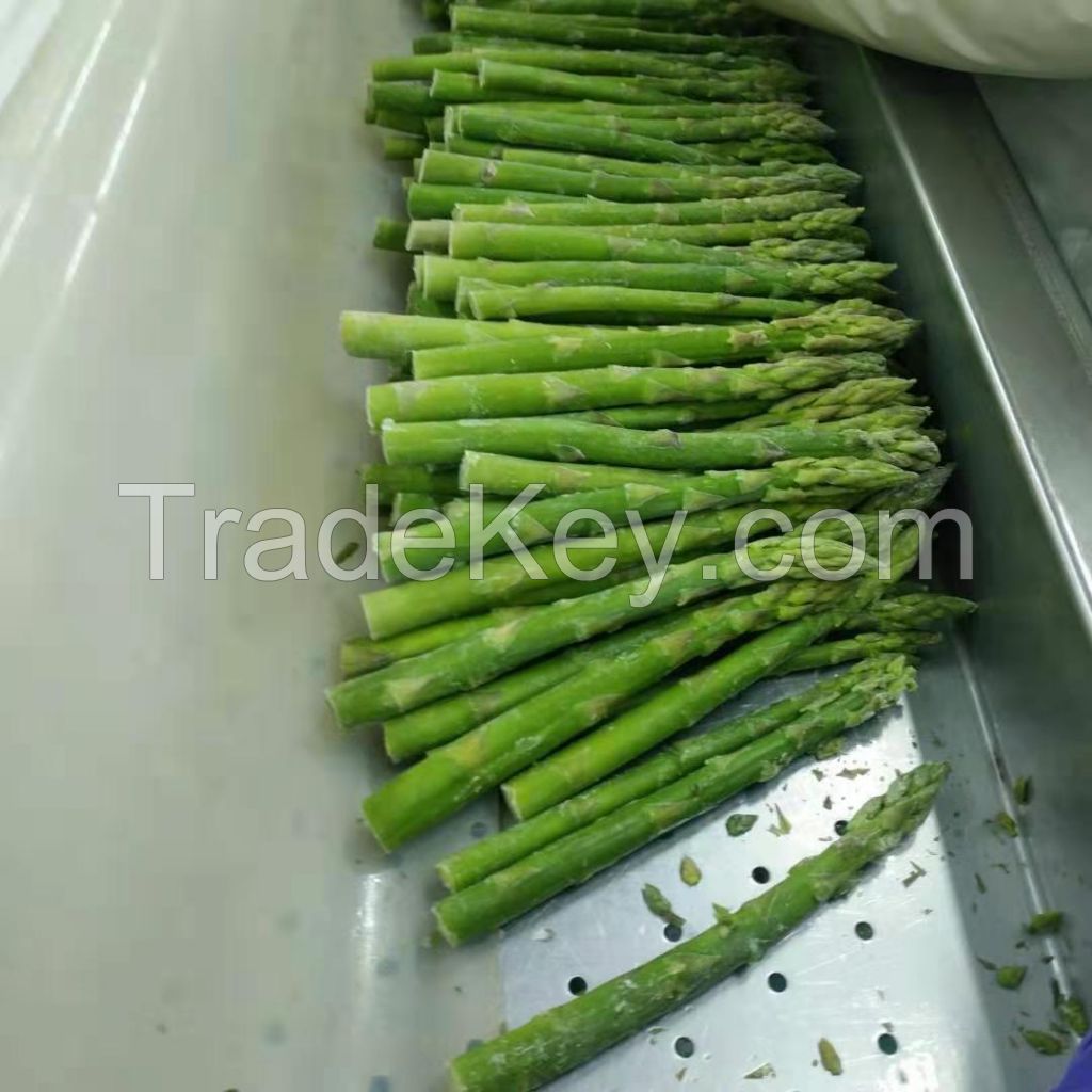 IQF/FROZEN GREEN ASPARAGUS