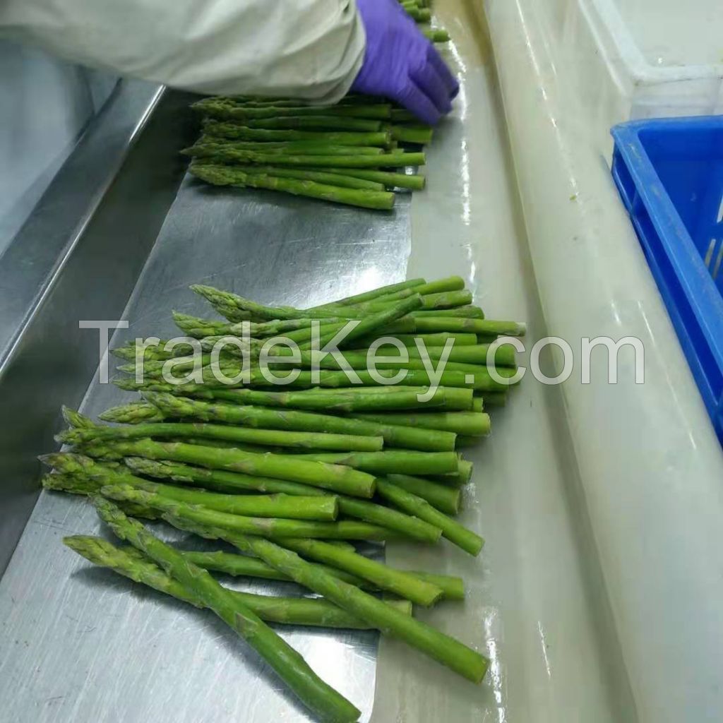 IQF/FROZEN GREEN ASPARAGUS