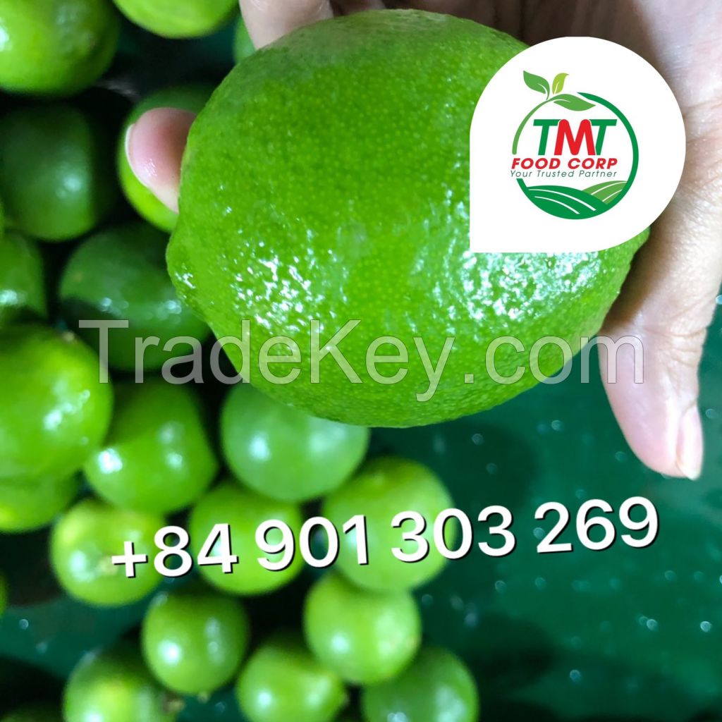 Fresh Seedless Lime