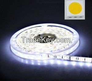 DC12V/24V 5050 white/warm white color Led Flexible Strip Light