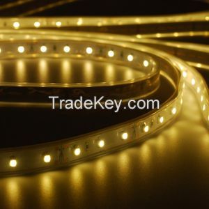 DC12V/24V 5050 white/warm white color Led Flexible Strip Light