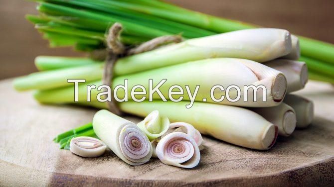 Fresh Lemongrass