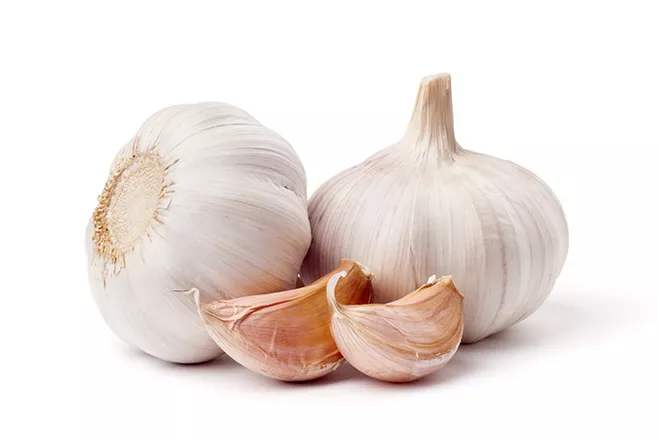 Normal Garlic | Fresh Crop | White Garlic