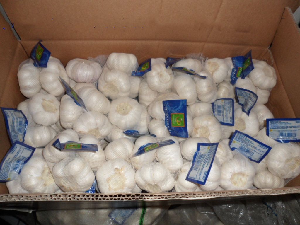 Chinese Fresh Garlic | White Garlic