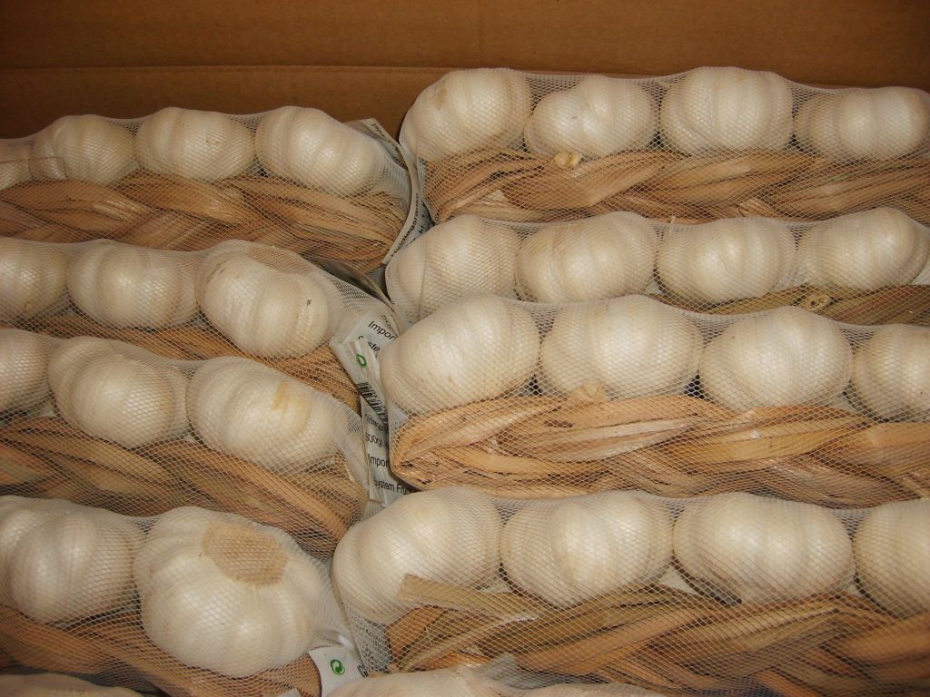 Braid Garlic with high quality/Chinese garlic