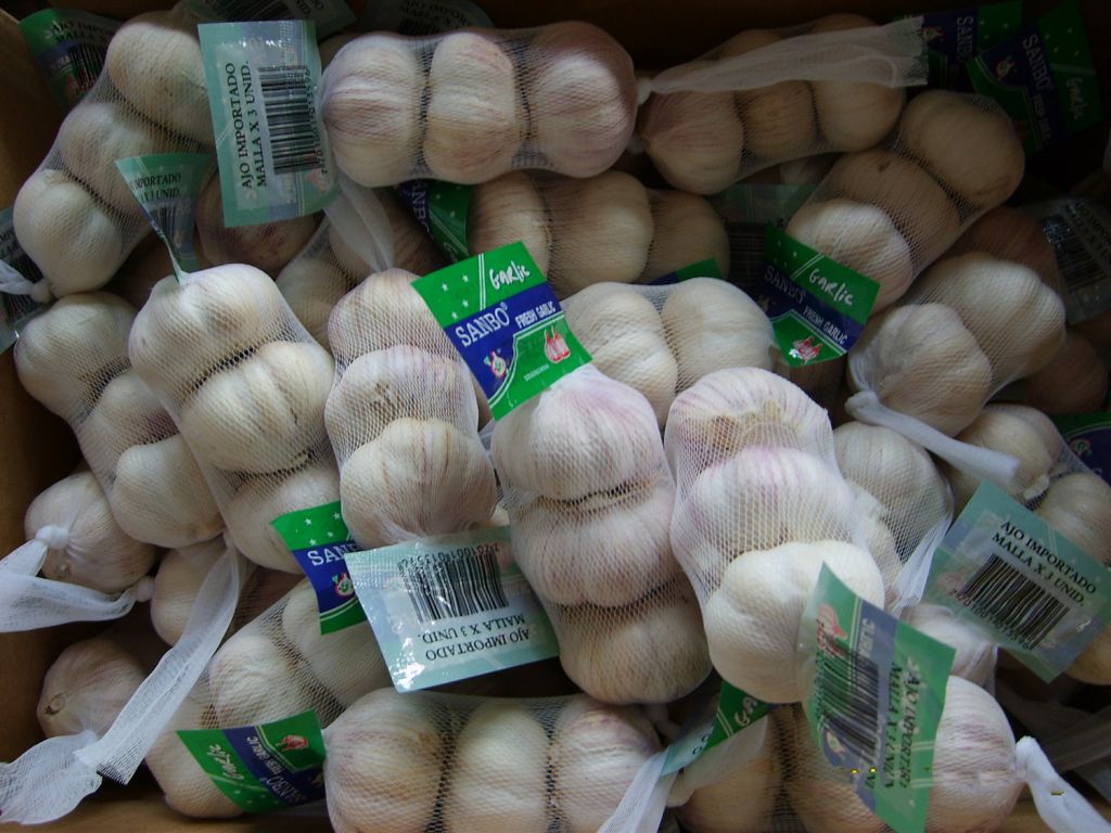 Pure White Garlic | Chinese Fresh Garlic