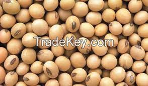 SOYBEANS