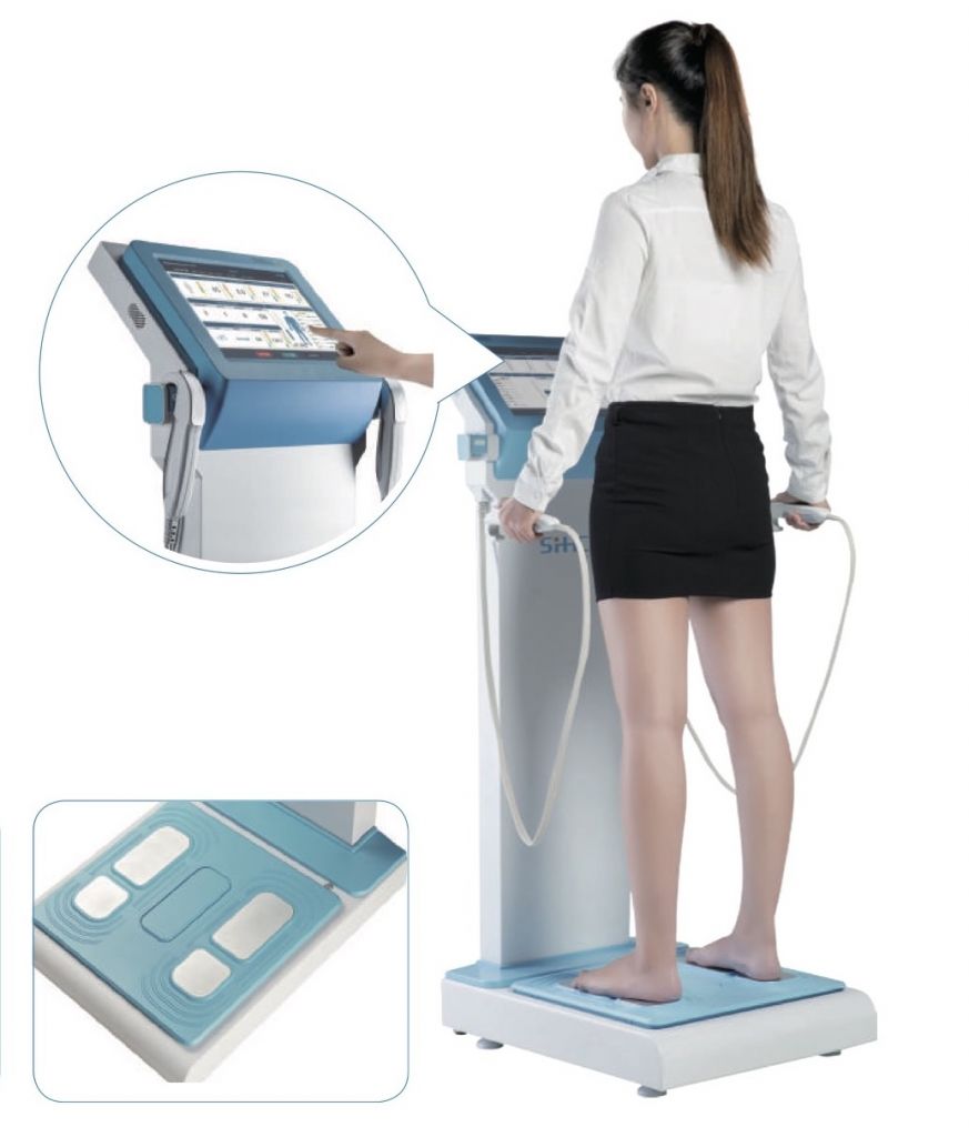 Body Fat Scale