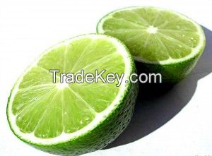 Fresh Seedless Lime