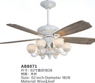 Ceiling Fan Lights