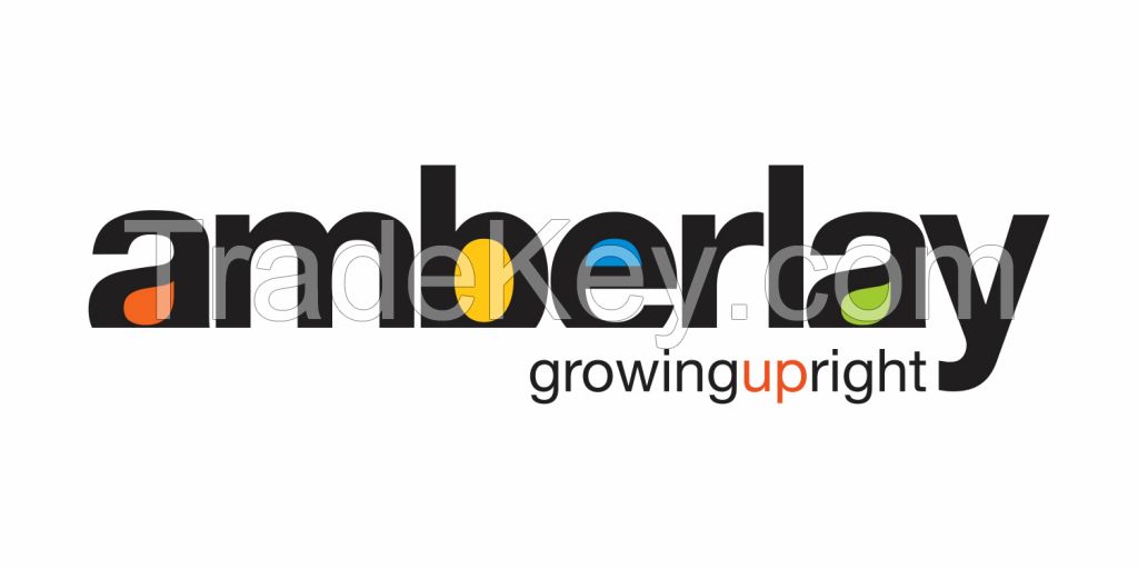 Preschool |Nursery |Daycare Center in Kharghar, Navi Mumbai | Amberlay