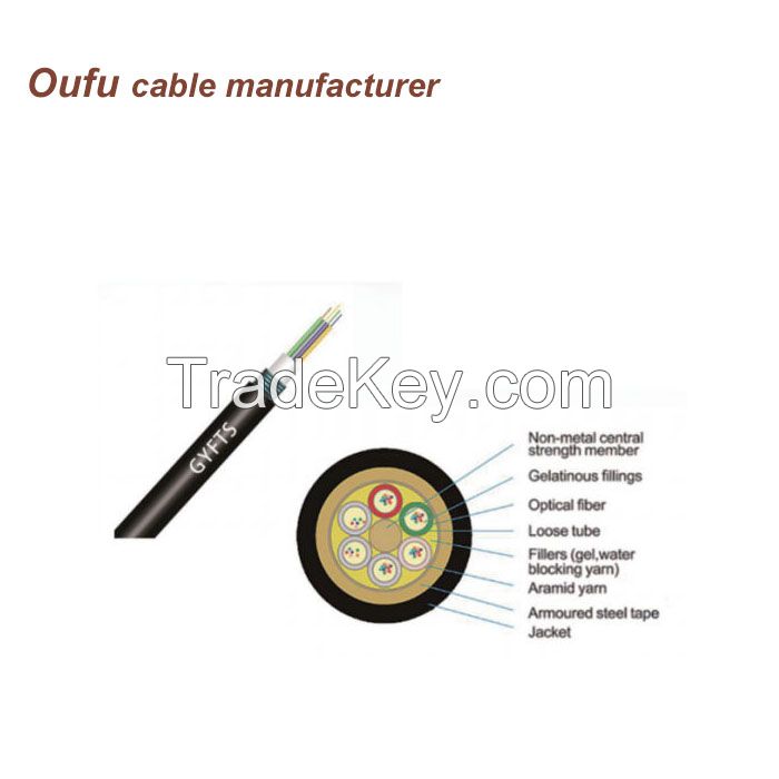 Manufacturer Supply 2 - 96 Core Direct Buried Steel Armored GYFTS Fiber Optic Cable with FRP