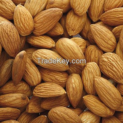 Buy Almond Nuts, Pistachios, Raw Cashew Nuts