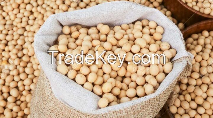 Buy Premium Soyabean / Soybeans Wholesale Price