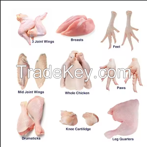 Halal Frozen Chicken, Chicken Paws, Chicken Feet