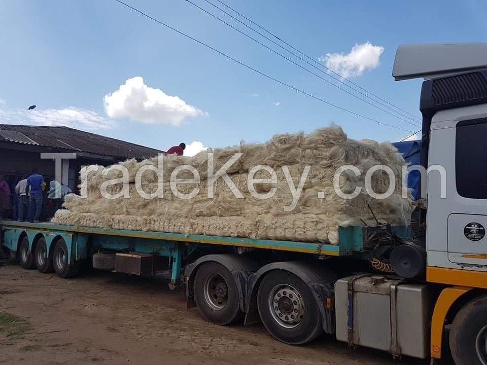 Natural Sisal Fibers in Bales Grade A