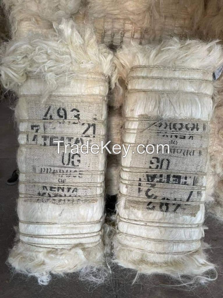 High Quality SSUG Natural sisal fiber / UG sisal fibre