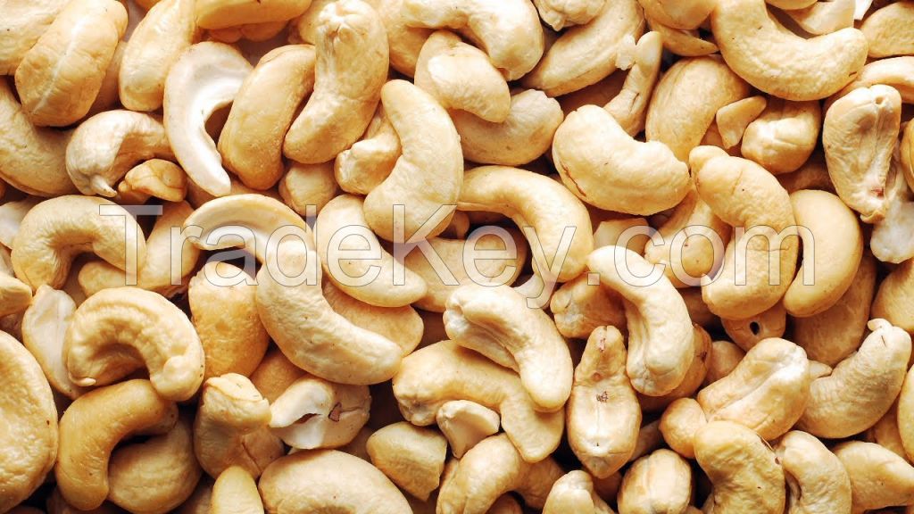 Raw  Cashew Nuts and Processed Cashew Nuts 