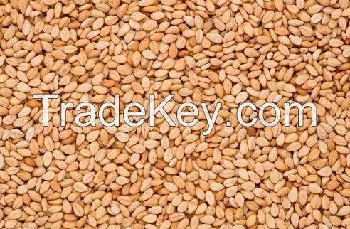 Best Quality Sesame Seeds At Cheap Rates