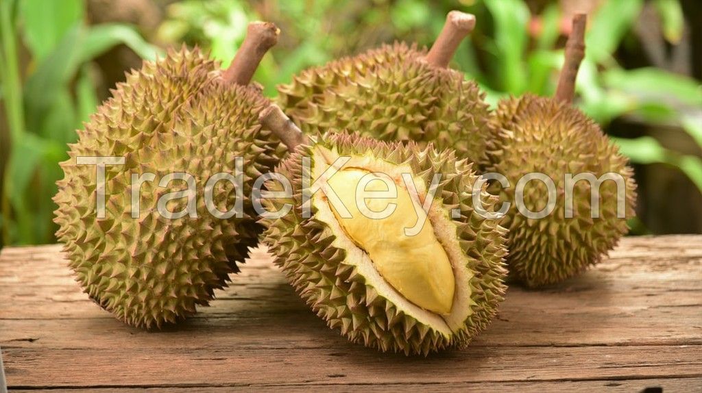 Durian Fruit