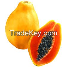 Papaya