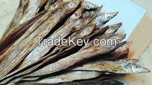 Dry Fish 